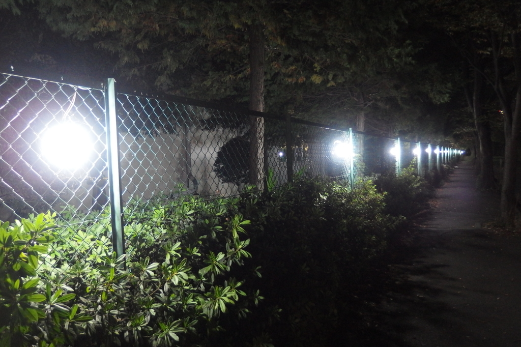 2015/10/31_夜の東部工業団地