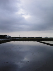 2017/05/27_水田の曇天