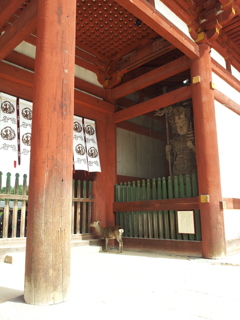 2016/10/18_東大寺 中門から中を覗き込む鹿