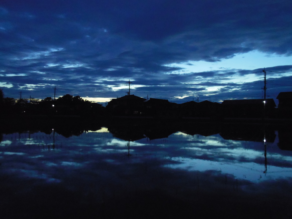 2017/07/01_水田の夕暮れ