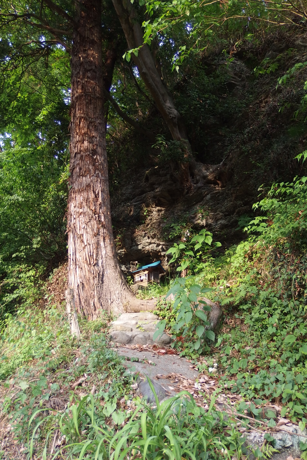 2015/05/23_斜面の社