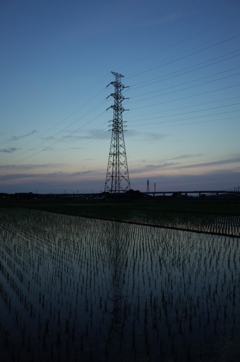 2016/06/18_水田の夕暮れ