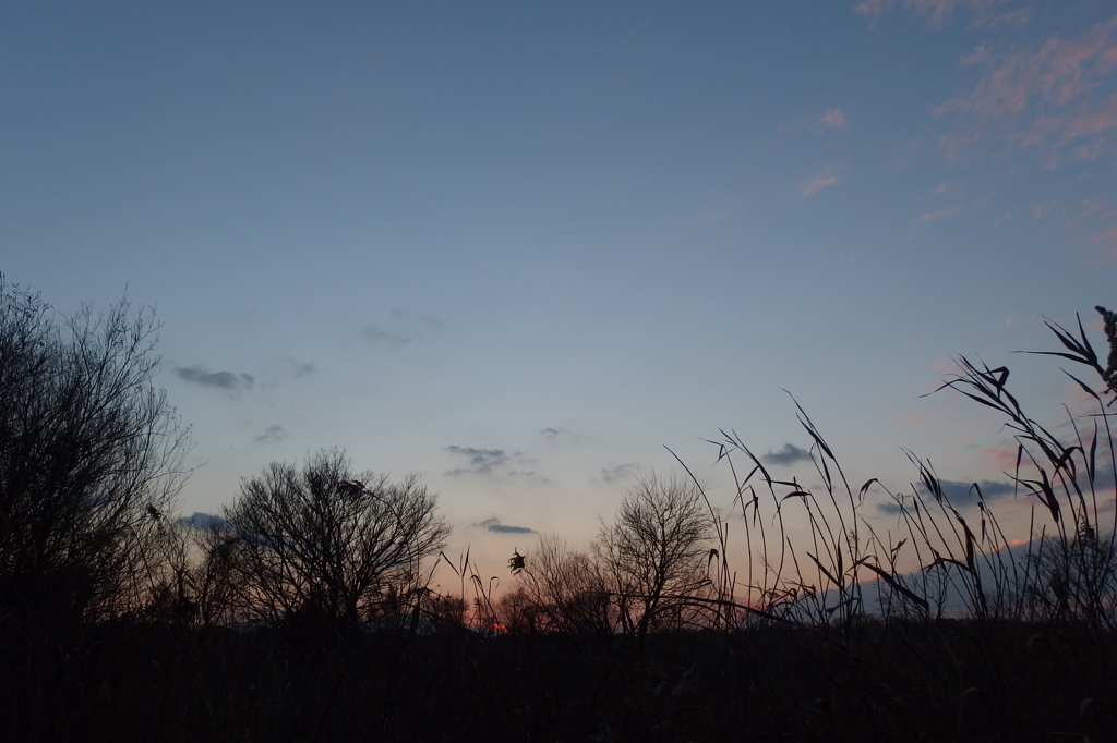 2015/12/31_夕暮れ