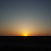 2015/03/28_渡良瀬遊水地の夕暮れ