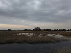 2017/02/25_溜め池の夕暮れ