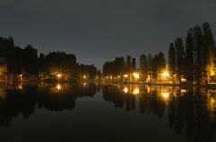 2014/11/02_夜の別所沼公園