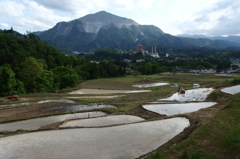 2015/05/04_寺坂棚田と武甲山