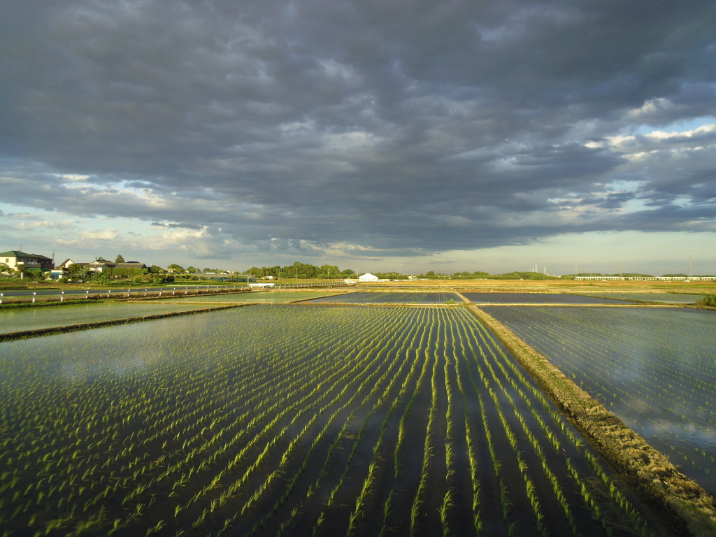 2017/06/04_水田に雲