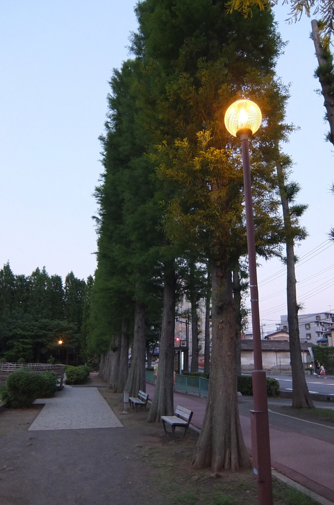 2014/05/31_夕暮れの別所沼公園