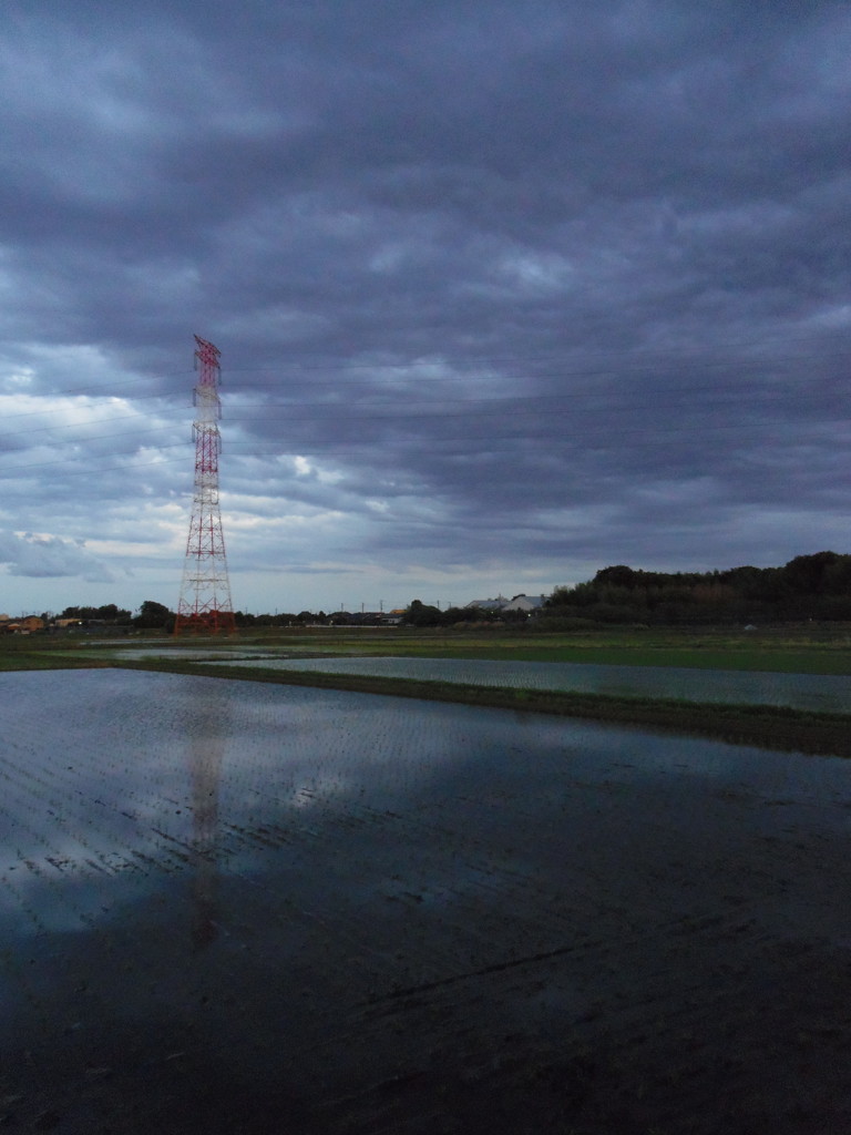 2017/06/04_水田に雲
