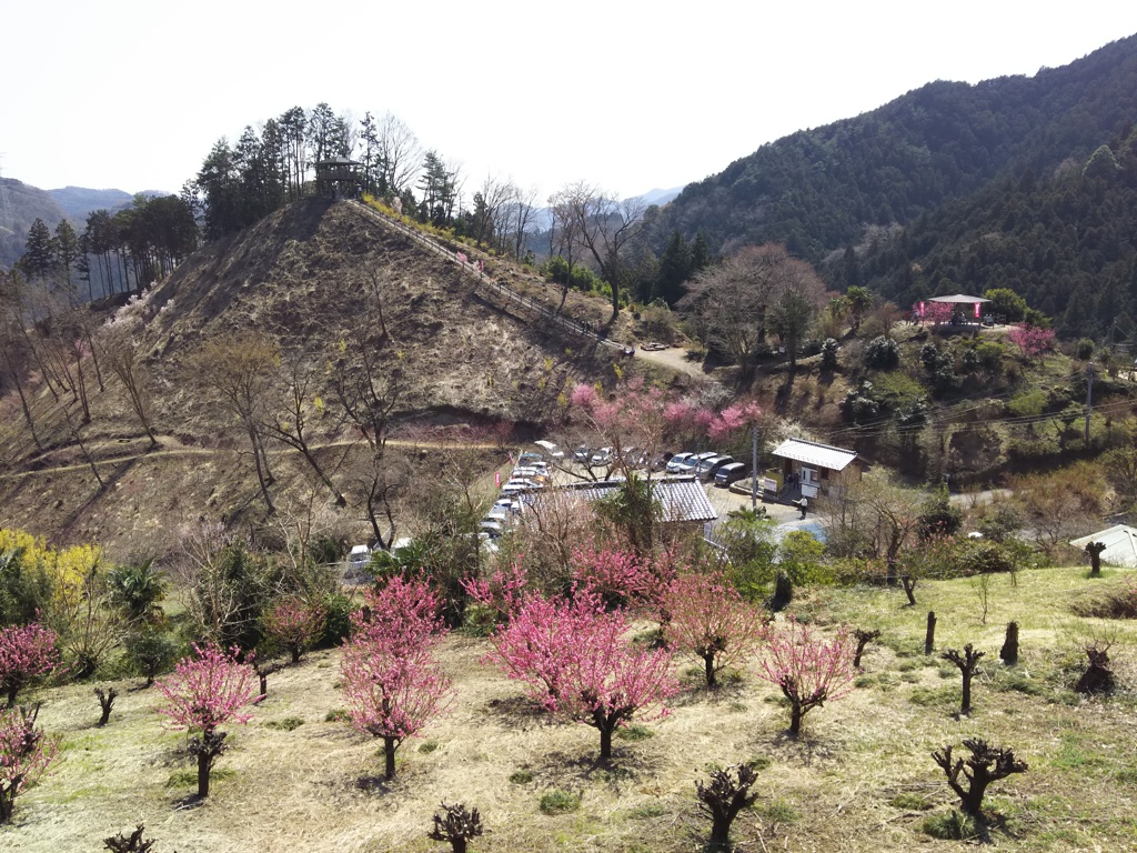 2018/03/25_花桃の郷