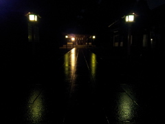 2015/08/30_夜、雨上がりの小室氷川神社