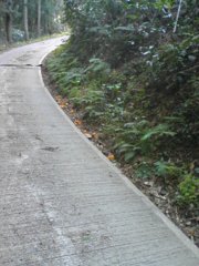 2012/04/07_みかんが落ちた林道