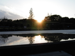 2017/04/23_花の丘農林公苑の夕暮れ