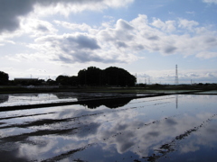 2017/05/14_水田に雲