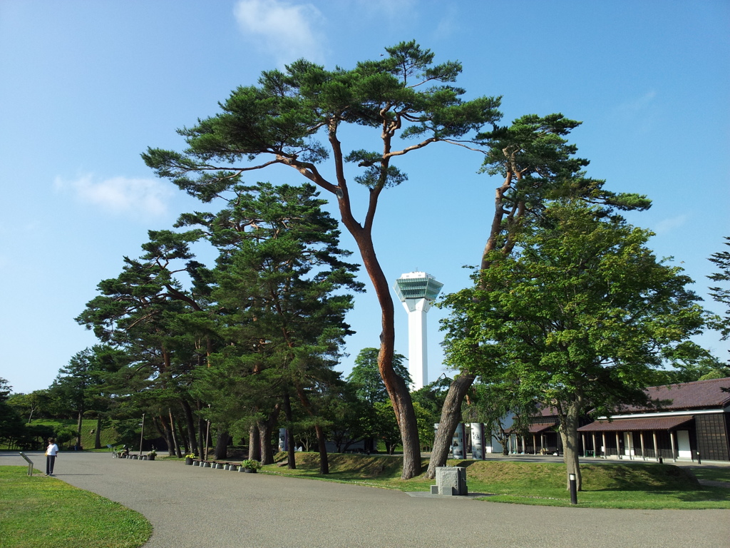 2016/08/13_五稜郭公園から五稜郭タワーを望む