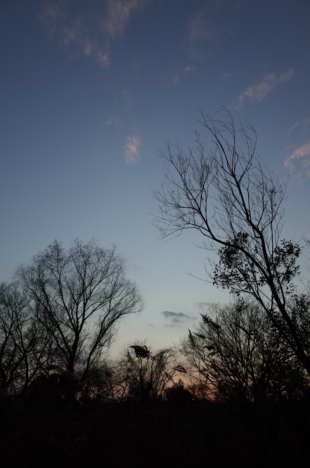 2015/12/31_夕暮れ