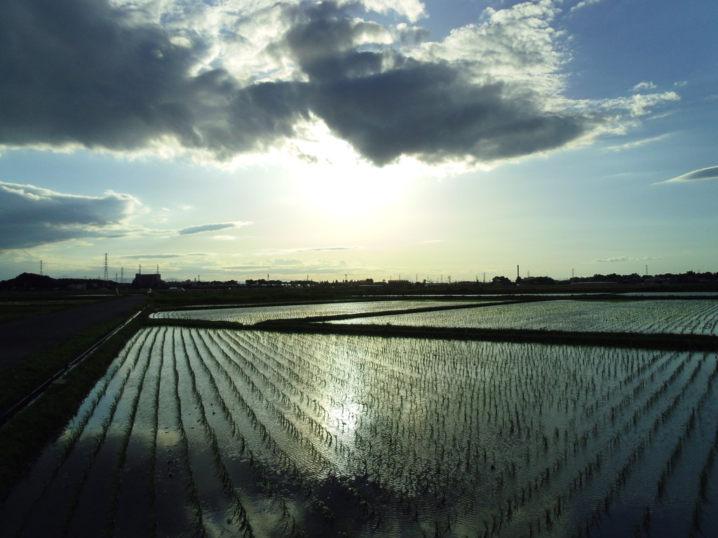 2017/06/04_水田に雲