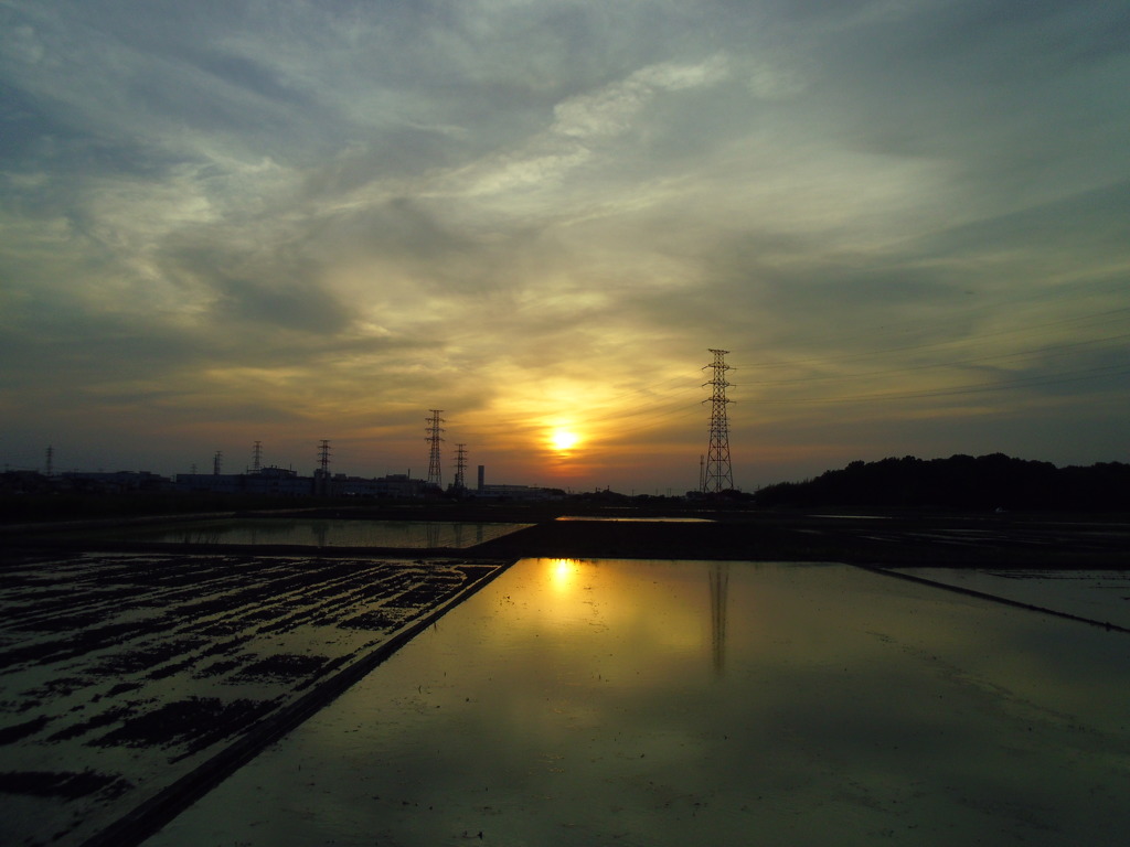 2017/05/21_水田の夕暮れ