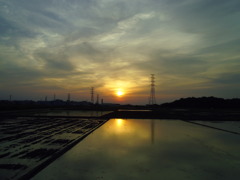 2017/05/21_水田の夕暮れ