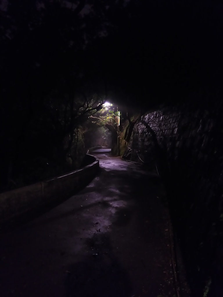 2017/03/12_ビクトリア・ピークの夜道