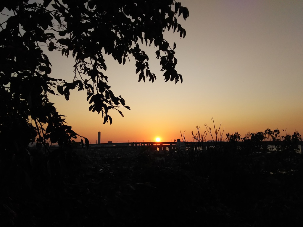 2017/10/26_瀬戸大橋線の夕日
