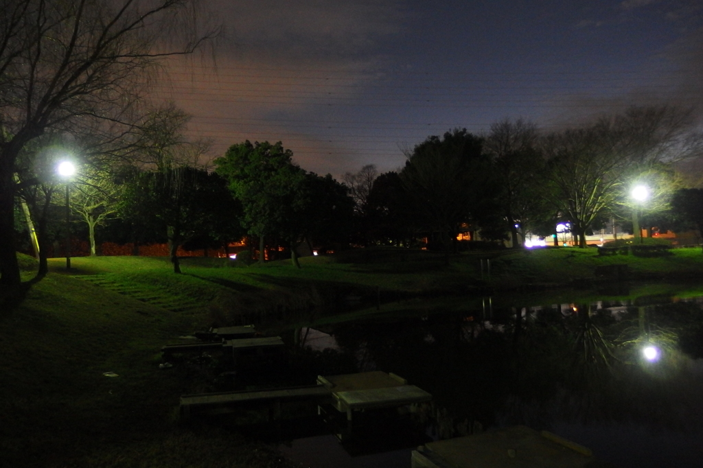 2015/12/30_夕暮れの西城沼公園