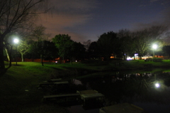 2015/12/30_夕暮れの西城沼公園