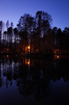 2014/12/14_夕暮れの別所沼公園