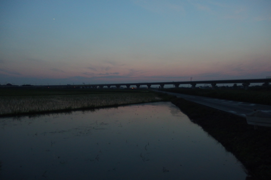 2015/07/11_水田の夕暮れ