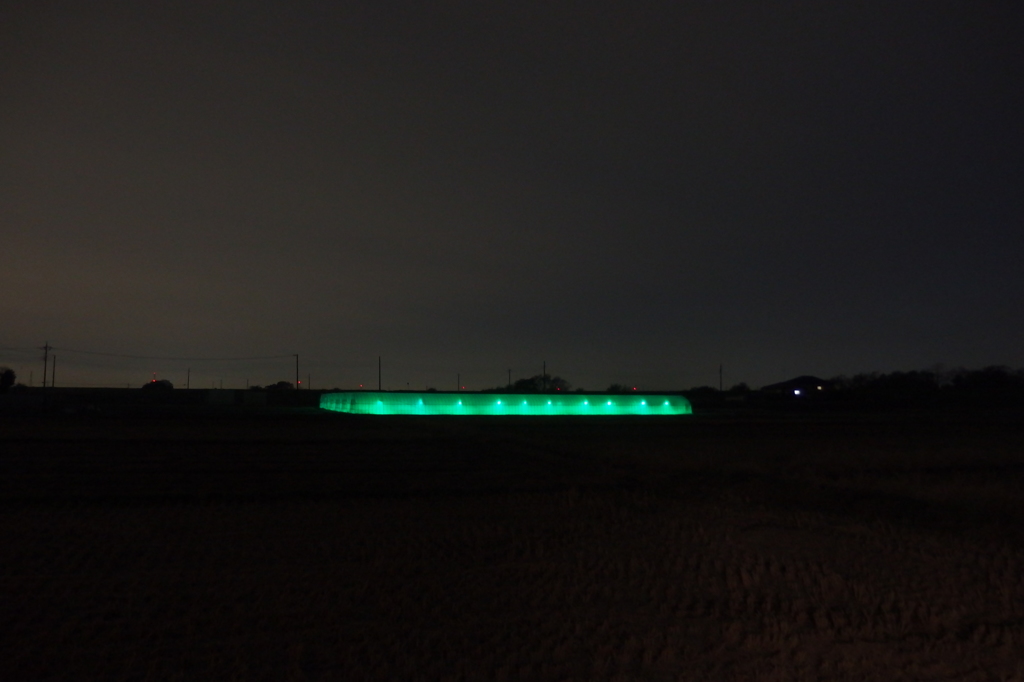 2015/11/29_未知との遭遇