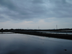 2017/05/27_水田の曇天