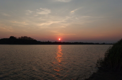 2015/07/26_伊佐沼の夕日