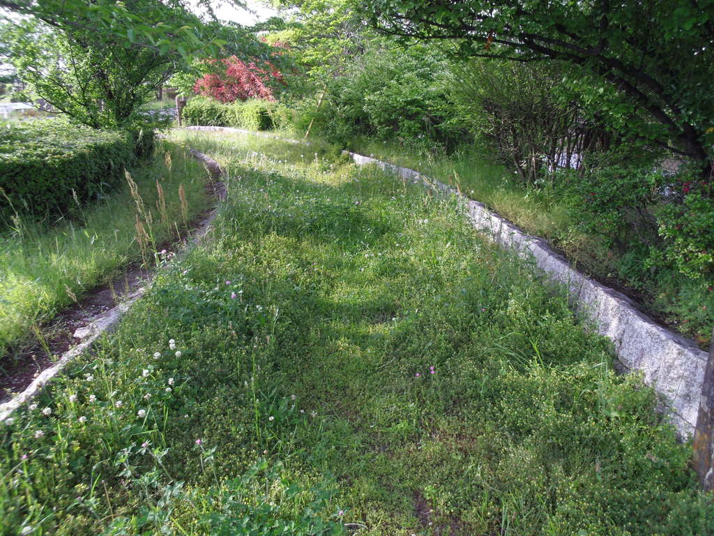 2017/05/14_後野公園