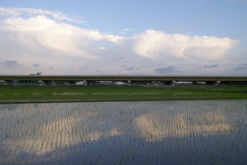 2015/06/21_水田に雲