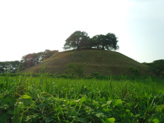 2017/07/09_さきたま古墳公園 丸墓山古墳