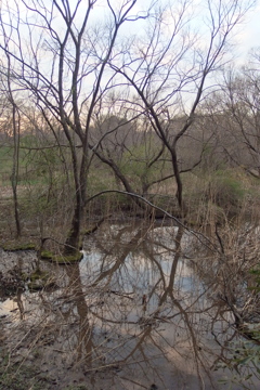 2016/03/26_北本自然観察公園