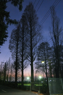 2014/12/28_川里中央公園の夕暮れ