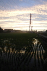 2015/06/27_水田の夕暮れ
