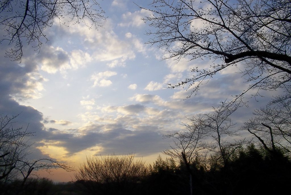 2016/03/26_北本自然観察公園の夕空