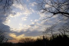 2016/03/26_北本自然観察公園の夕空