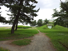 2018/07/16_合浦公園