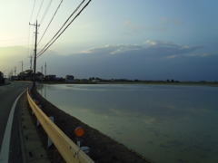 2017/06/11_水田に雲