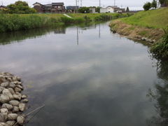 2017/06/13_曇天の吉田川