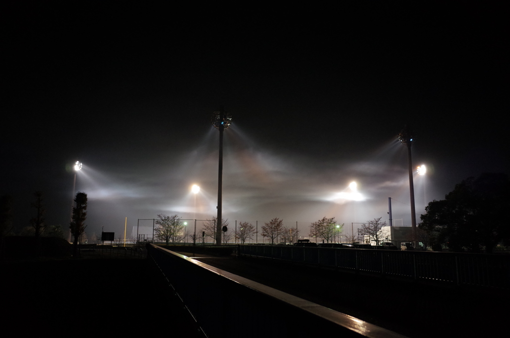 2014/11/22_夜の上谷総合公園