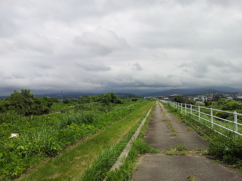 2017/08/11_布施川・片貝川の南側の道