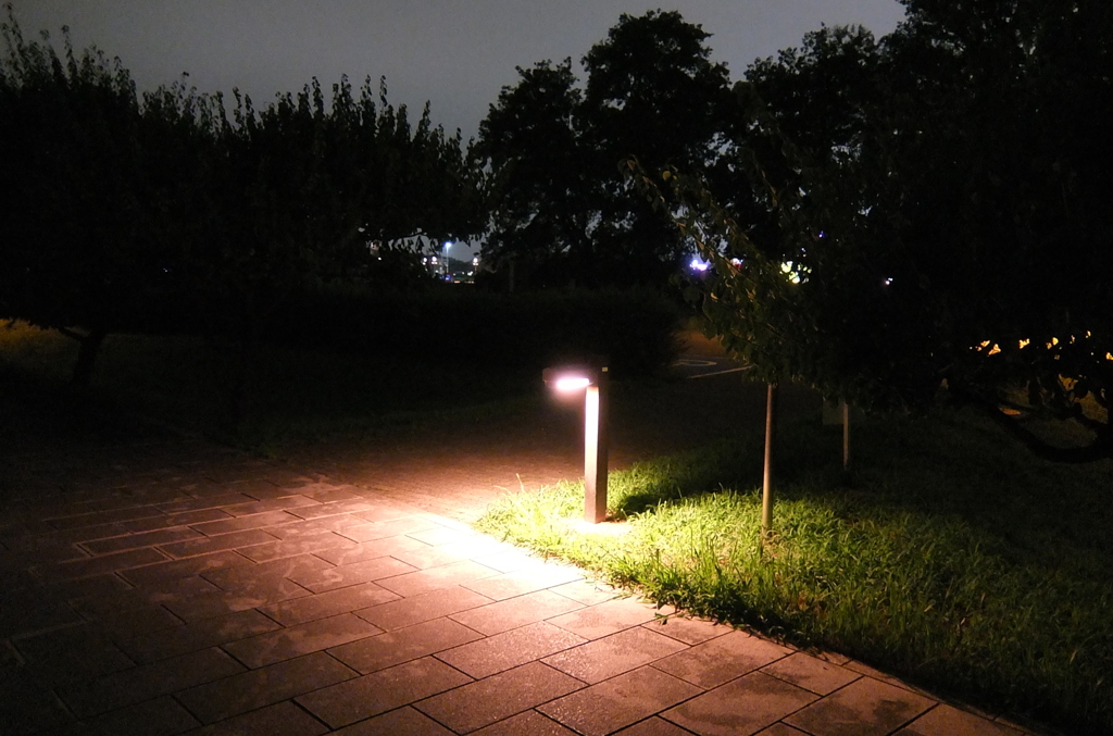 2014/08/17_夜のさきたま古墳公園