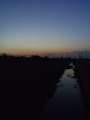 2017/03/04_用水路の夕暮れ