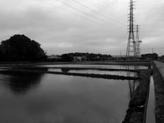 2017/05/27_水田の曇天