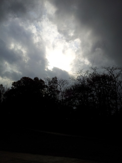 2016/11/13_三内丸山遺跡の空